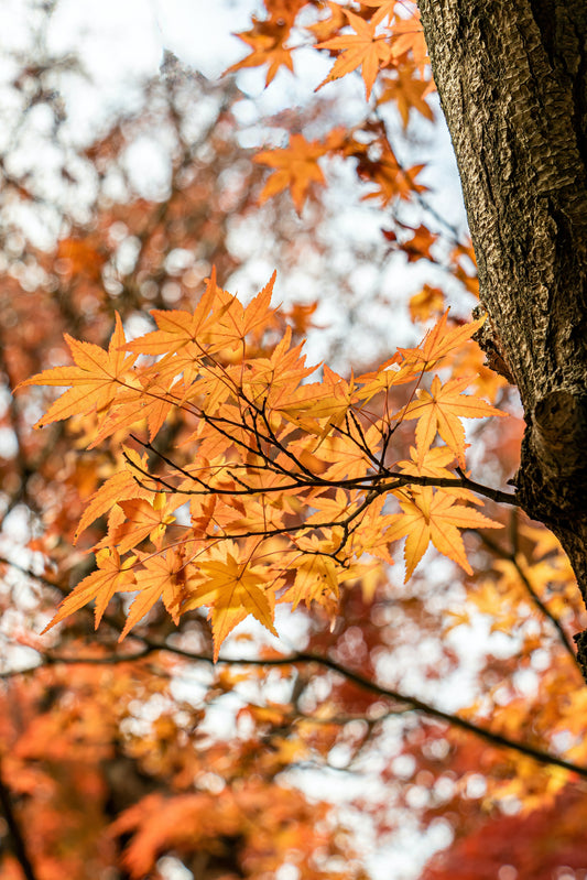 Skin Care Secrets for Every Season: Unleash Your Radiance Year-Round!